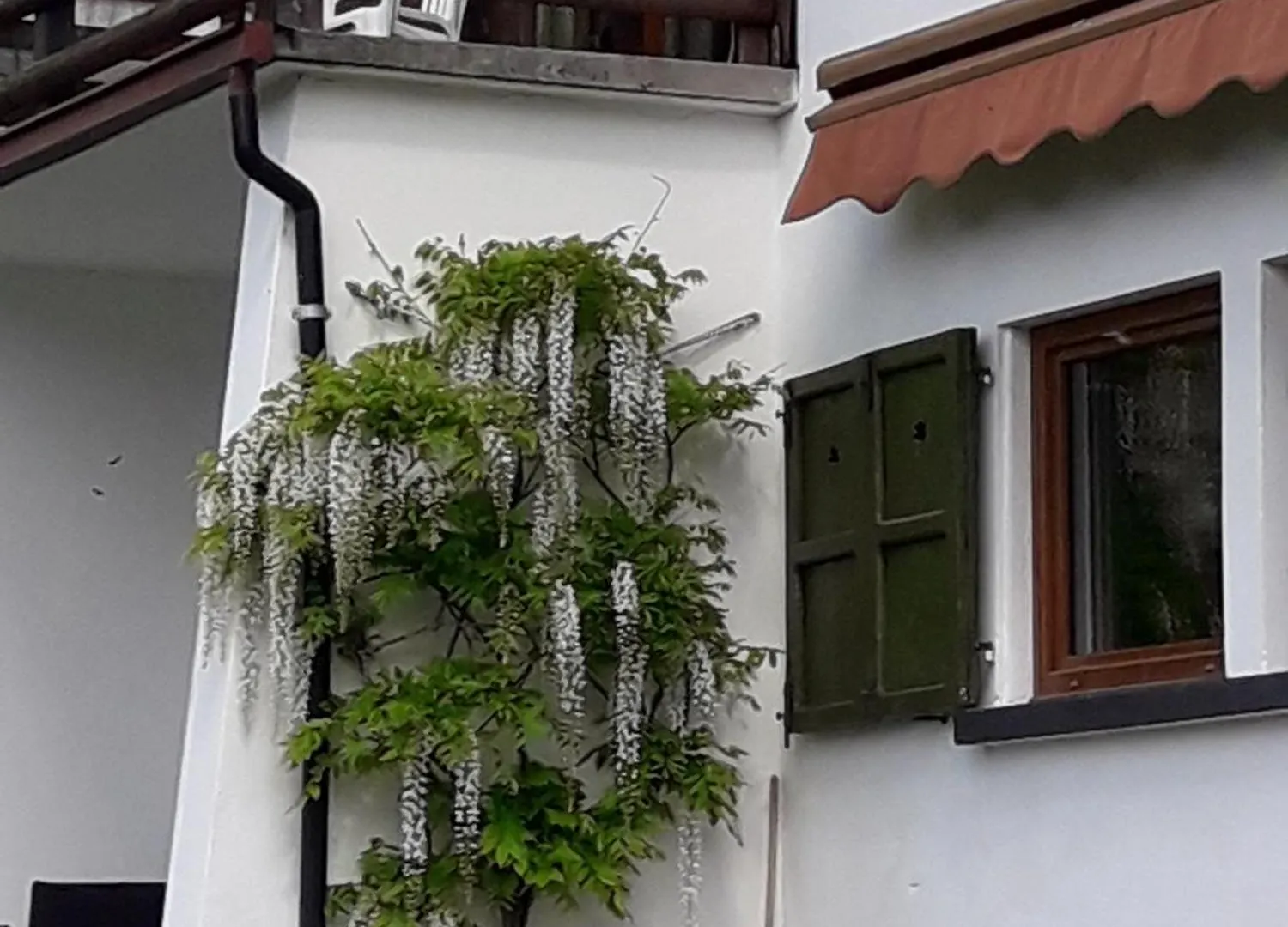 بيت للعطل Villa Bianca Bormio Garden And Parking Premadio